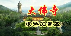 大鸡巴使劲操软件视频中国浙江-新昌大佛寺旅游风景区